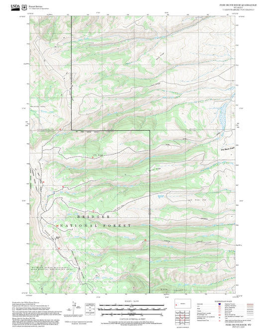 2025 Forest Service Topo Map of Pine Grove Ridge Wyoming