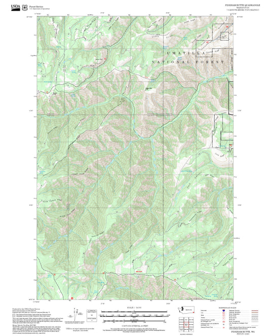 2025 Forest Service Topo Map of Pinkham Butte Washington