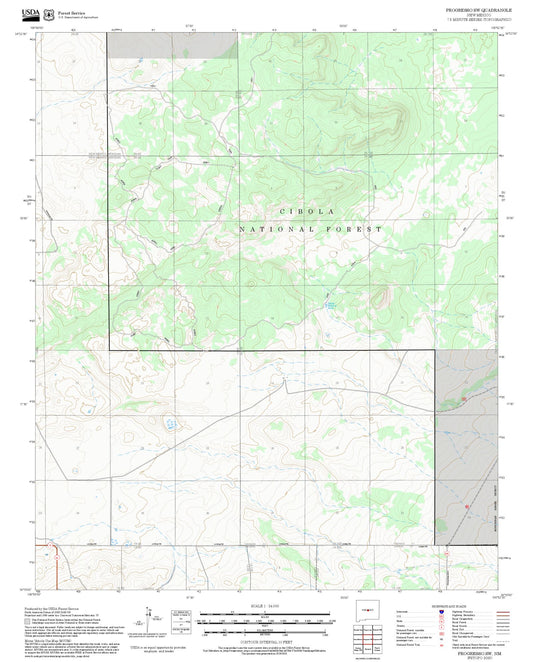 2025 Forest Service Topo Map of Progresso SW New Mexico