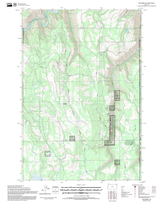 2025 Forest Service Topo Map of Promise Oregon
