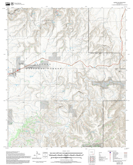 2025 Forest Service Topo Map of Queen New Mexico