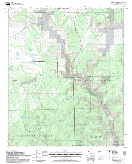 2025 Forest Service Topo Map of Queens Head New Mexico