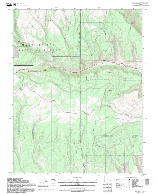 2025 Forest Service Topo Map of Ray Mesa Utah