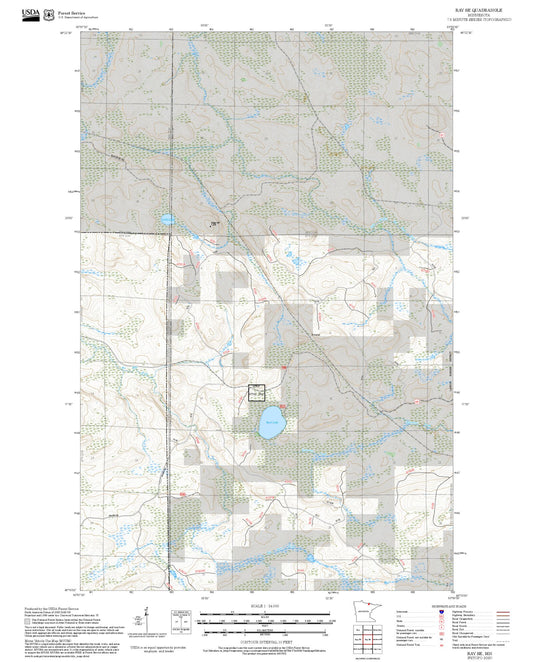 2025 Forest Service Topo Map of Ray SE Minnesota
