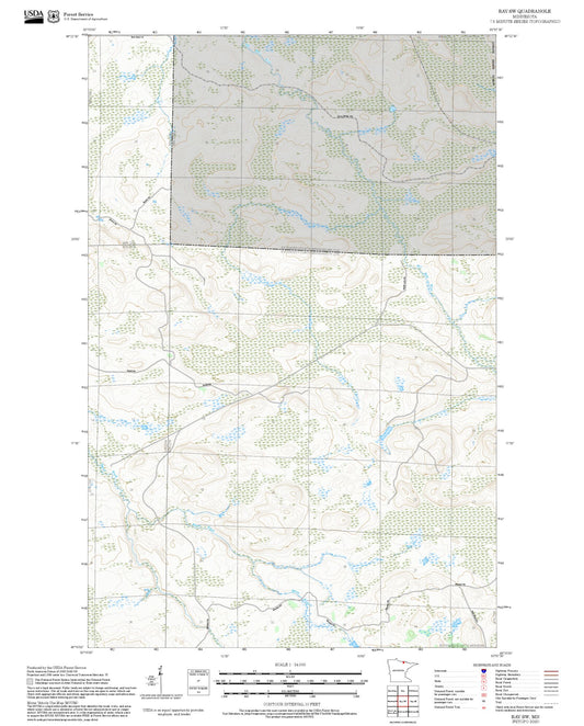 2025 Forest Service Topo Map of Ray SW Minnesota
