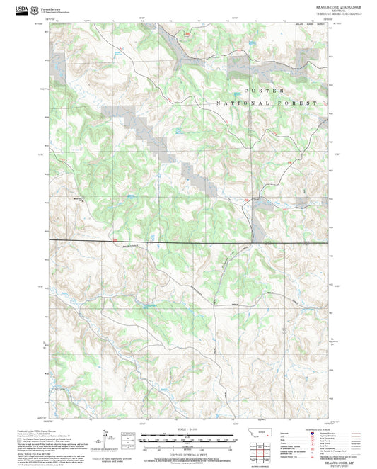 2025 Forest Service Topo Map of Reanus Cone Montana