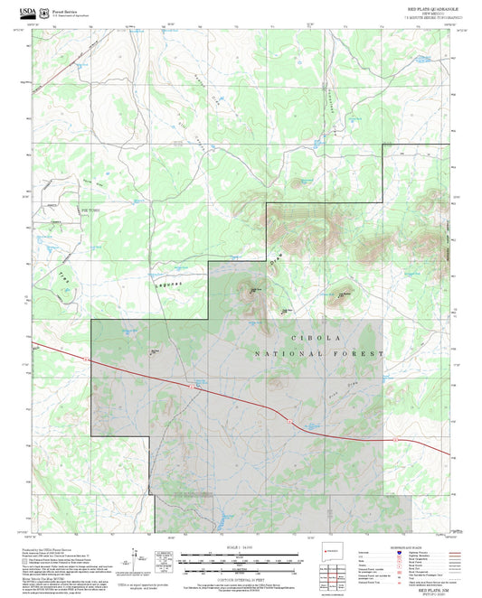 2025 Forest Service Topo Map of Red Flats New Mexico