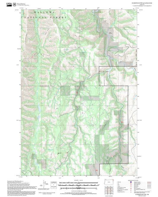 2025 Forest Service Topo Map of Roberts Butte Oregon