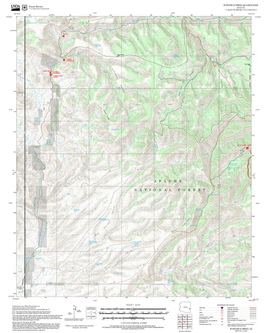 2025 Forest Service Topo Map of Robinson Mesa Arizona
