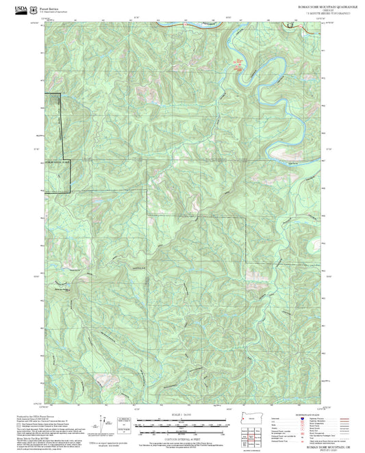 2025 Forest Service Topo Map of Roman Nose Mountain Oregon