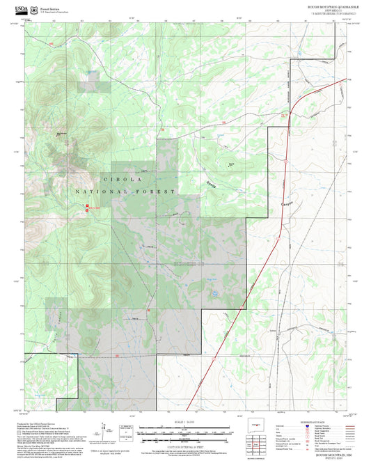 2025 Forest Service Topo Map of Rough Mountain New Mexico
