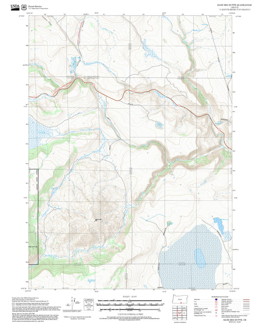2025 Forest Service Topo Map of Sage Hen Butte Oregon