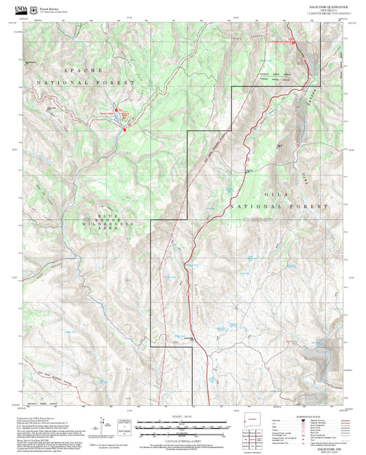 2025 Forest Service Topo Map of Saliz Pass New Mexico