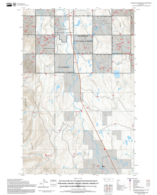 2025 Forest Service Topo Map of Salmon Prairie Montana