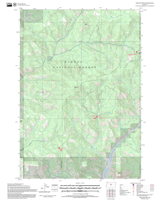 2025 Forest Service Topo Map of Salt Butte Oregon