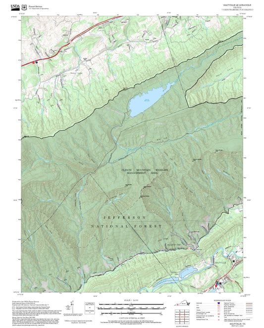 2025 Forest Service Topo Map of Saltville Virginia