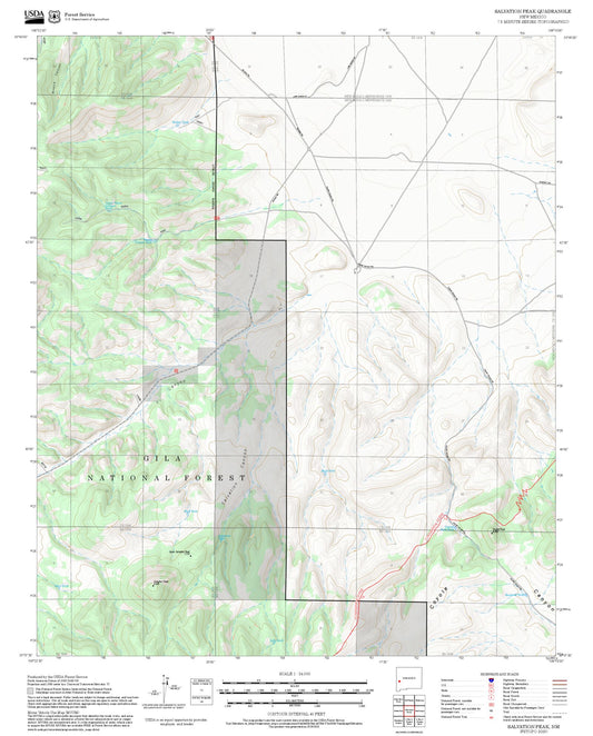 2025 Forest Service Topo Map of Salvation Peak New Mexico