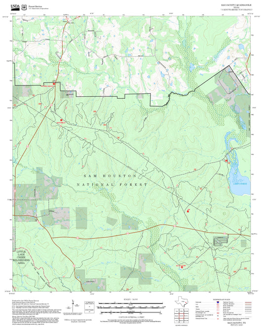 2025 Forest Service Topo Map of San Jacinto Texas