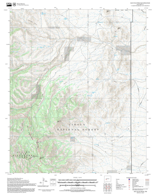 2025 Forest Service Topo Map of San Juan Peak New Mexico