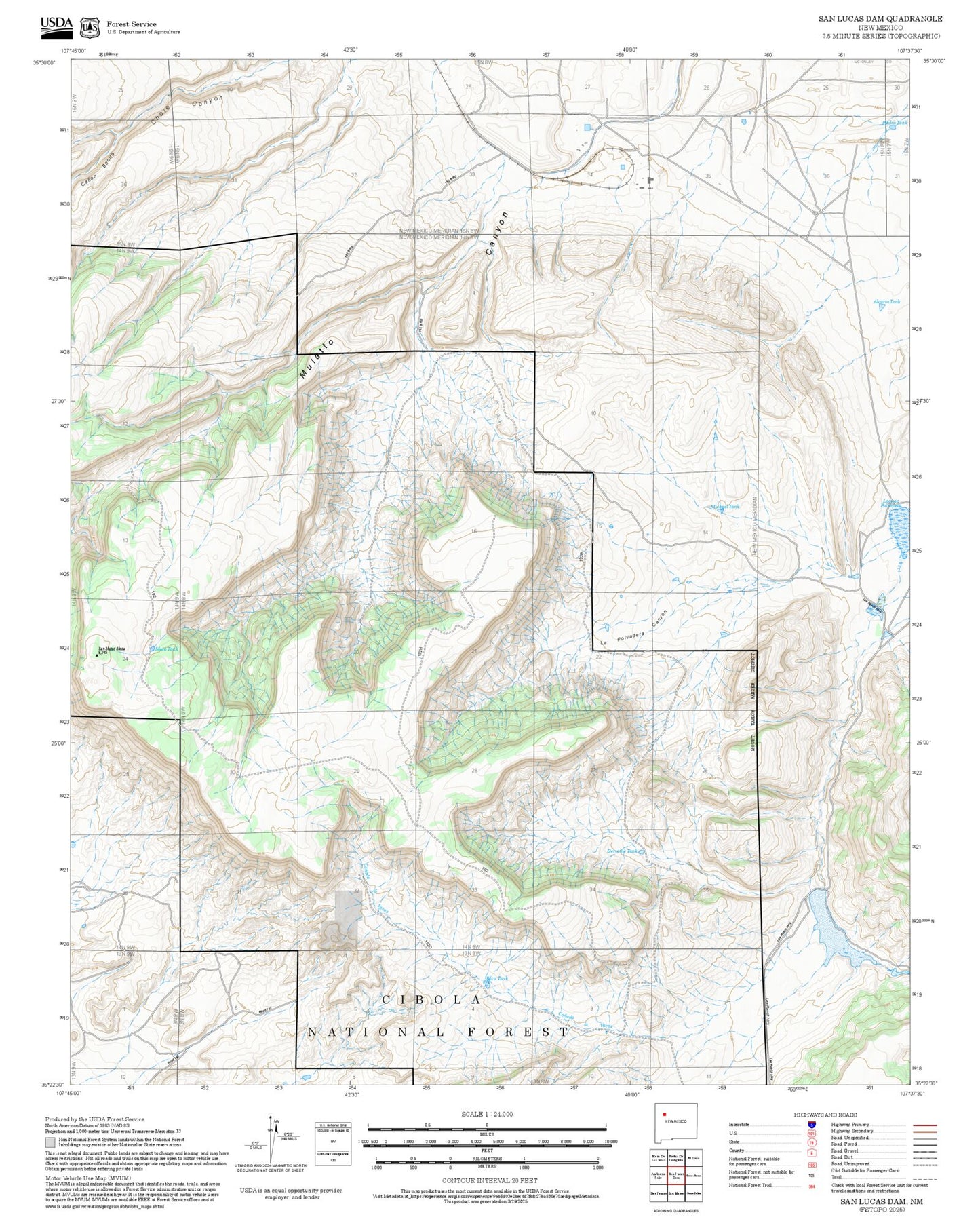 2025 Forest Service Topo Map of San Lucas Dam New Mexico