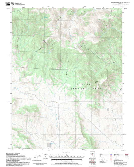 2025 Forest Service Topo Map of Saulsbury Basin Nevada