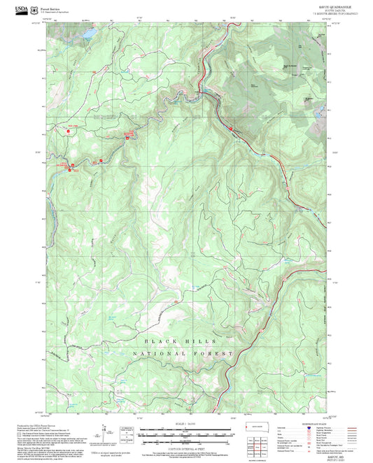 2025 Forest Service Topo Map of Savoy South Dakota