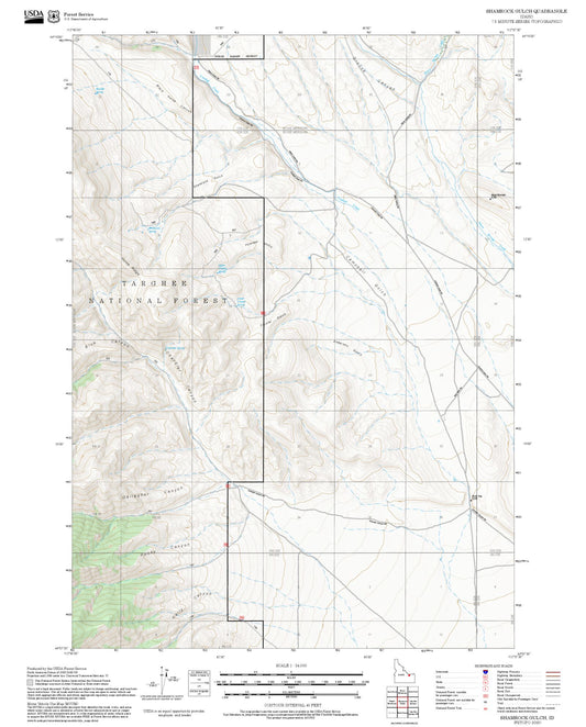 2025 Forest Service Topo Map of Shamrock Gulch Idaho