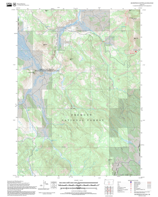 2025 Forest Service Topo Map of Shoestring Butte Oregon