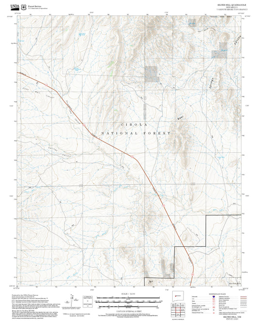 2025 Forest Service Topo Map of Silver Hill New Mexico