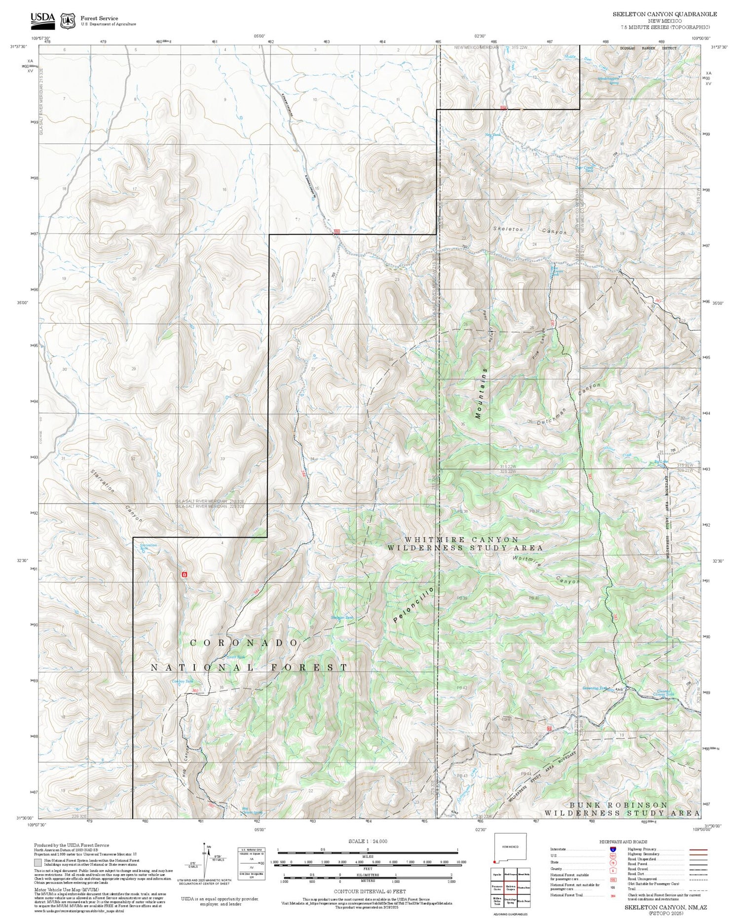 2025 Forest Service Topo Map of Skeleton Canyon New Mexico
