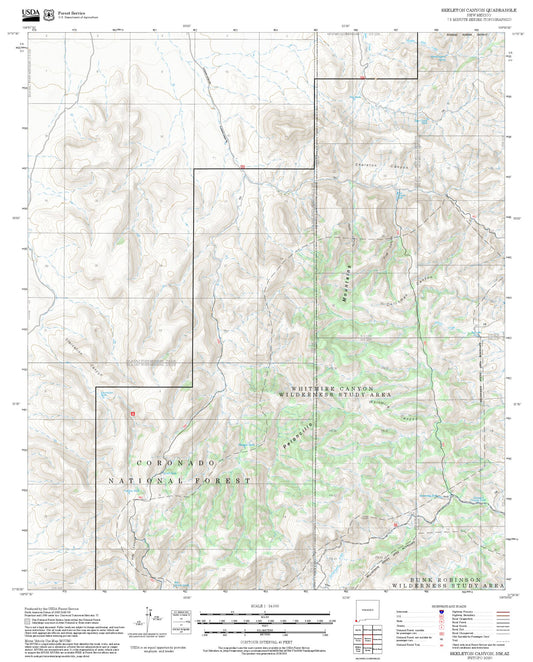 2025 Forest Service Topo Map of Skeleton Canyon New Mexico