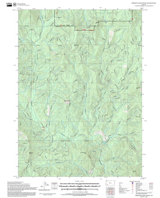 2025 Forest Service Topo Map of Skeleton Mountain Oregon