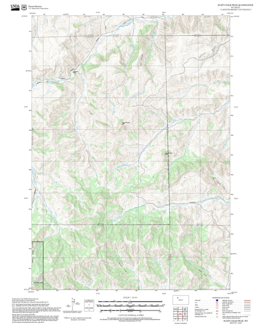 2025 Forest Service Topo Map of Soapy Dale Peak Wyoming