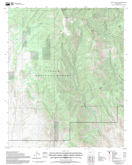 2025 Forest Service Topo Map of South Baldy New Mexico
