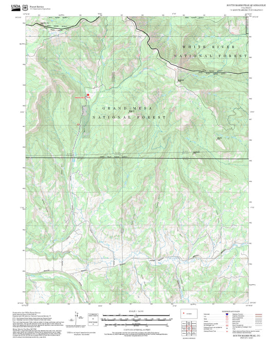 2025 Forest Service Topo Map of South Mamm Peak Colorado