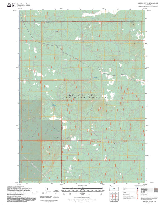 2025 Forest Service Topo Map of Spring Butte Oregon