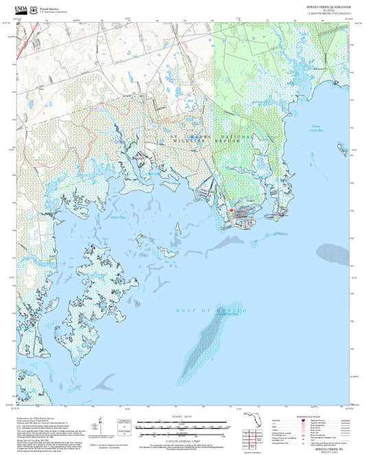 2025 Forest Service Topo Map of Spring Creek Florida