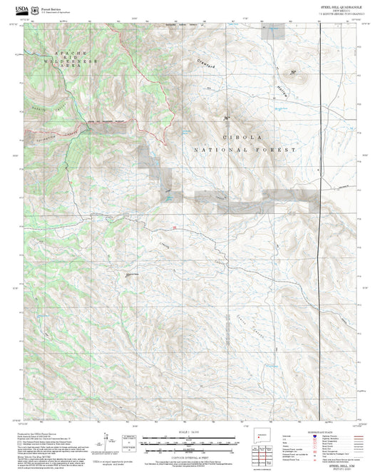 2025 Forest Service Topo Map of Steel Hill New Mexico