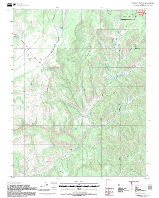 2025 Forest Service Topo Map of Straight Canyon Utah