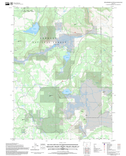 2025 Forest Service Topo Map of Strawberry Butte Oregon