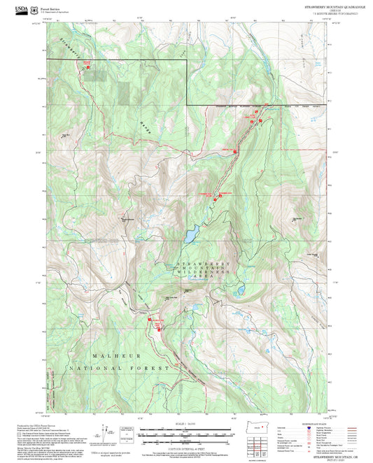 2025 Forest Service Topo Map of Strawberry Mountain Oregon