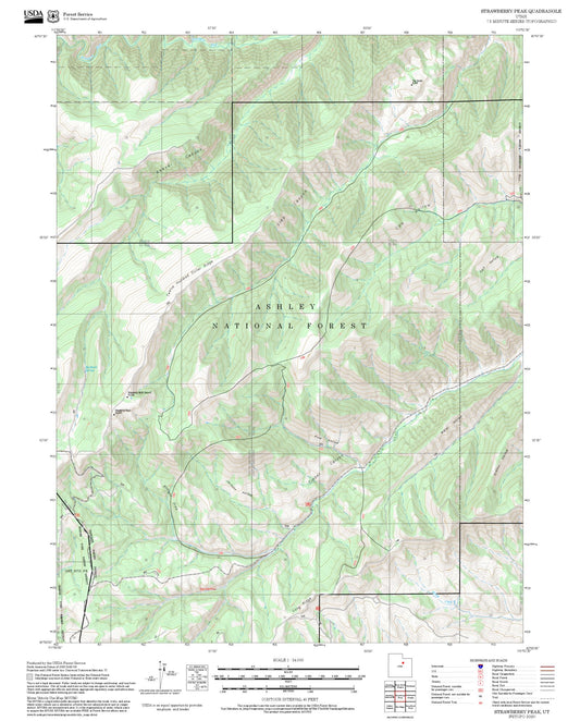 2025 Forest Service Topo Map of Strawberry Peak Utah