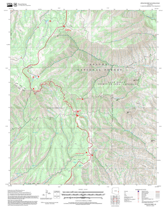 2025 Forest Service Topo Map of Strayhorse Arizona