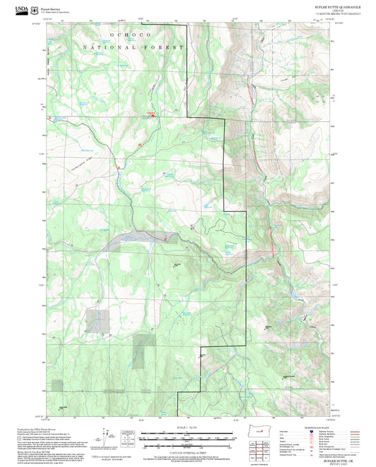 2025 Forest Service Topo Map of Suplee Butte Oregon