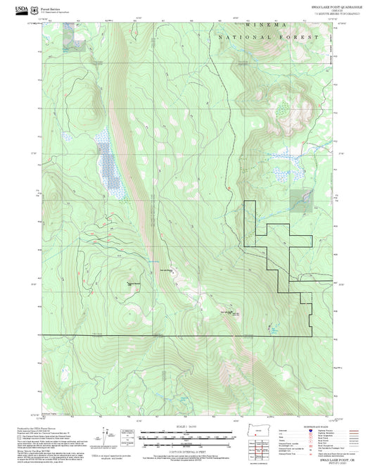 2025 Forest Service Topo Map of Swan Lake Point Oregon
