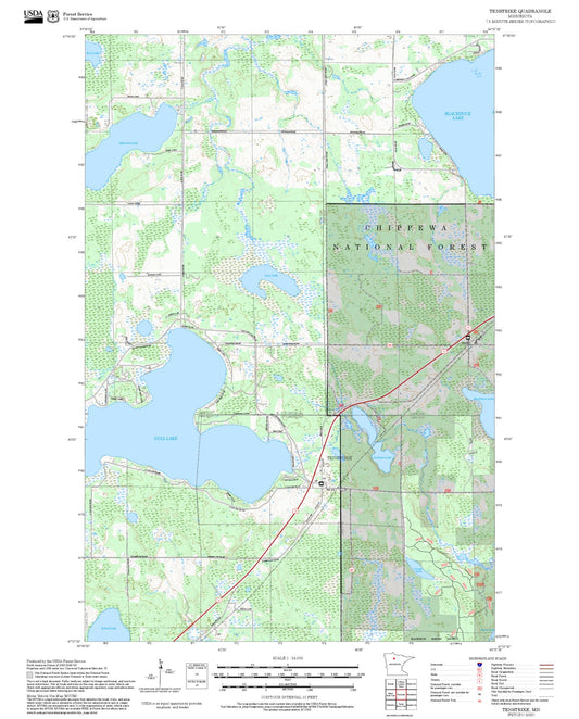 2025 Forest Service Topo Map of Tenstrike Minnesota