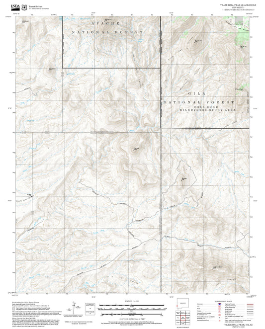 2025 Forest Service Topo Map of Tillie Hall Peak New Mexico