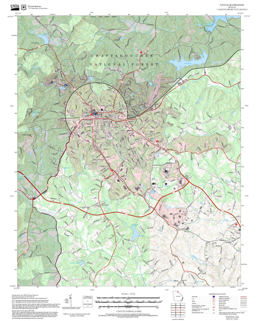 2025 Forest Service Topo Map of Toccoa Georgia