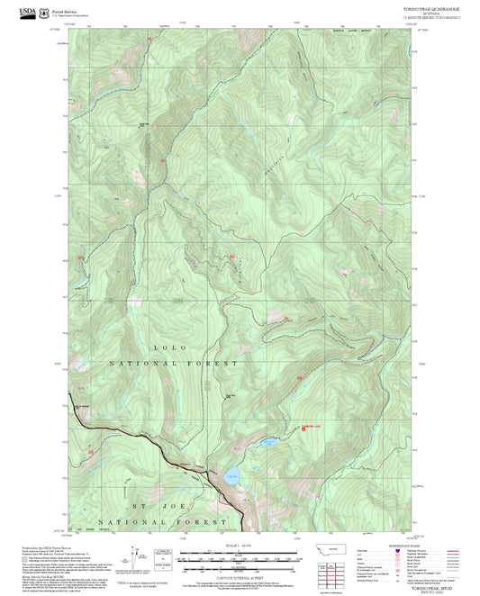 2025 Forest Service Topo Map of Torino Peak Montana