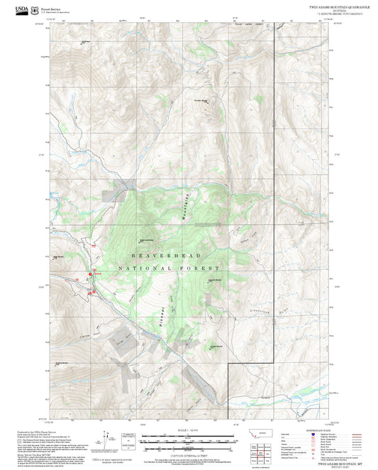 2025 Forest Service Topo Map of Twin Adams Mountain Montana